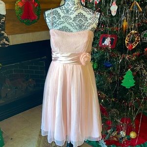 💗3/$12💗Studio Y Pink Flirty Lace Detail Party/Special Occasion Dress